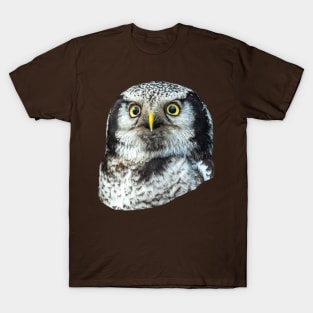 Eyes of a Northern Hawk Owl T-Shirt